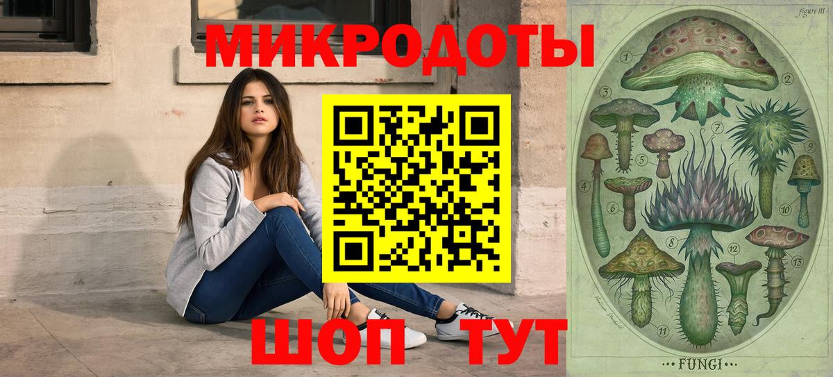 Галлюциногенные грибы Psilocybe Лянтор